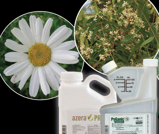 Botanical Pesticides